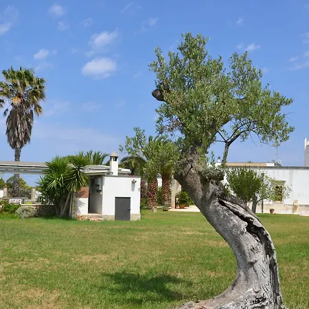 Masseria Fragnale فندق مبيت وإفطار 2*